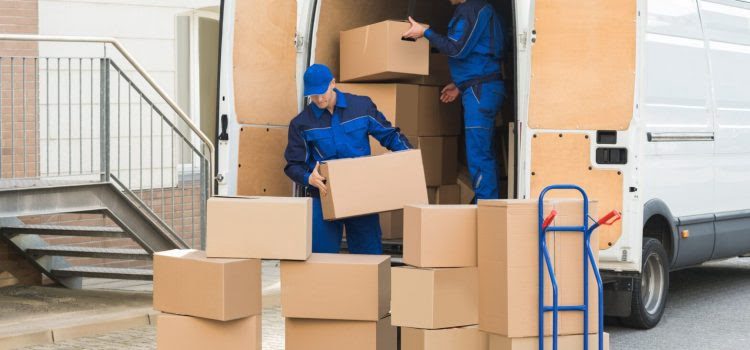 Contratou O Home Removals Em Dartford Services For Removals?