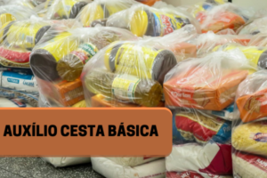 Read more about the article Benefício Cesta Básica – Veja como receber esse Auxílio